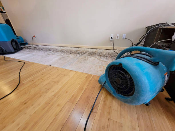 Professional Water Damage Repair technician working in Crete, NE